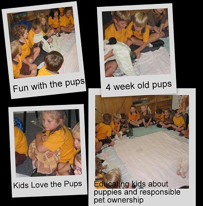 kids and pups